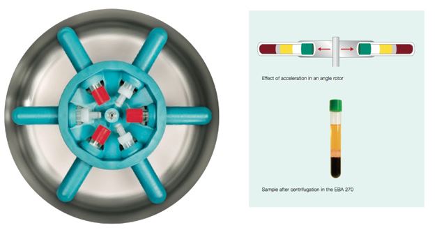 EBA 270 rotor including 2331 and 2333 carriers